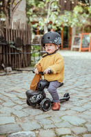 SCOOTANDRIDE Highwaykick 1 Lifestyle 2w1 Jeździk i hulajnoga z zamykanym schowkiem 1-5 lat Zebra